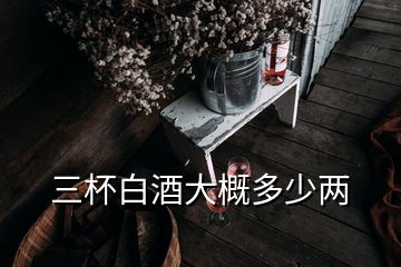 三杯白酒大概多少兩