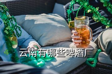 云南有哪些啤酒廠