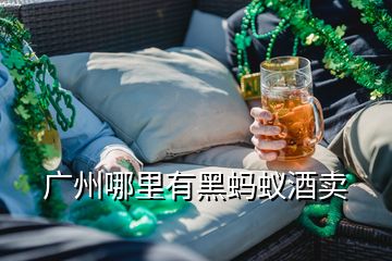 廣州哪里有黑螞蟻酒賣