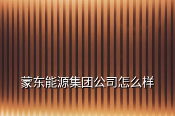 蒙東能源集團(tuán)公司怎么樣