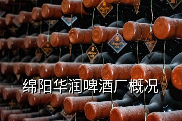 綿陽華潤(rùn)啤酒廠概況