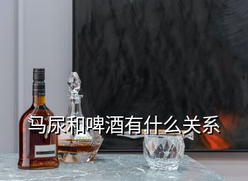 馬尿和啤酒有什么關(guān)系