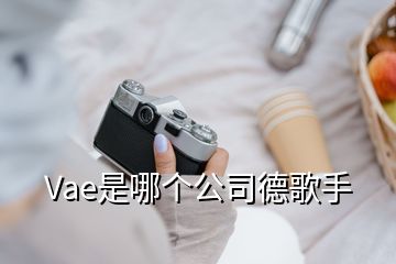 Vae是哪個公司德歌手