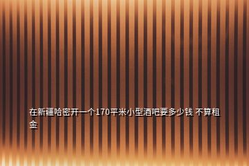 在新疆哈密開一個(gè)170平米小型酒吧要多少錢 不算租金