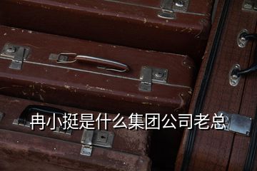 冉小挺是什么集團(tuán)公司老總