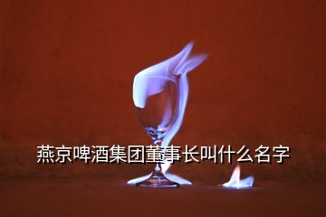 燕京啤酒集團(tuán)董事長叫什么名字