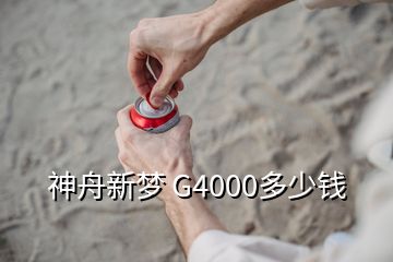 神舟新夢(mèng) G4000多少錢