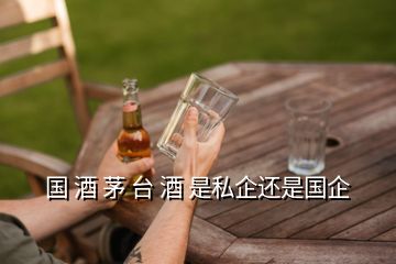 國 酒 茅 臺 酒 是私企還是國企