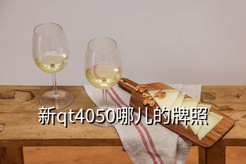 新qt4050哪兒的牌照