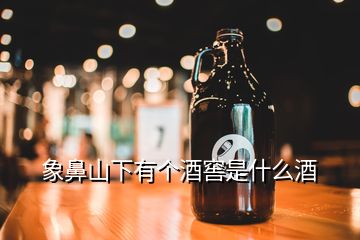 象鼻山下有個酒窖是什么酒