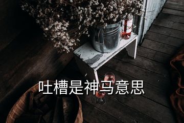 吐槽是神馬意思