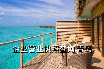 企業(yè)營業(yè)執(zhí)照查詢 青島