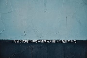 上海浦東南路1088號中融國際大廈1201是什么公司