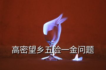 高密望鄉(xiāng)五險(xiǎn)一金問題