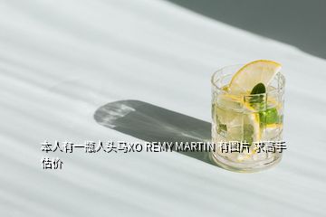 本人有一瓶人頭馬XO REMY MARTIN 有圖片 求高手估價