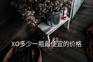 XO多少一瓶最便宜的價(jià)格