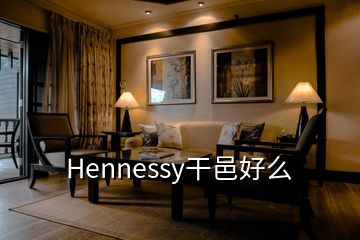 Hennessy干邑好么