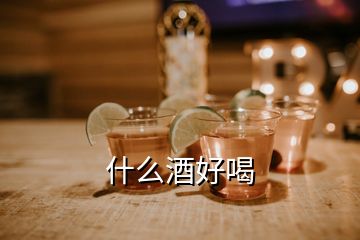 什么酒好喝