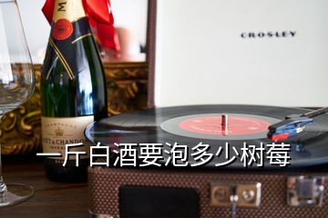 一斤白酒要泡多少樹莓