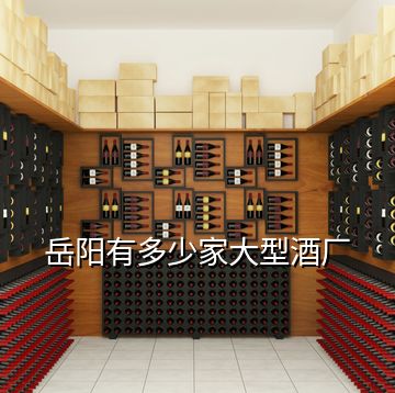 岳陽(yáng)有多少家大型酒廠