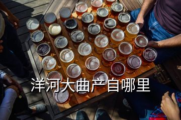 洋河大曲產自哪里