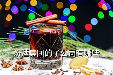 汾酒集團的子公司有哪些