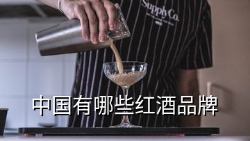 中國有哪些紅酒品牌