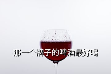 那一個(gè)牌子的啤酒最好喝