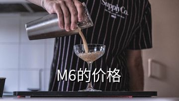 M6的價格