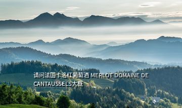 請問法國卡洛紅葡萄酒 MERLOT DOMAINE DE CANTAUSSELS大概