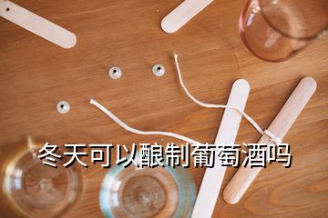 冬天可以釀制葡萄酒嗎