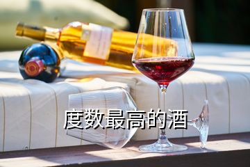 度數(shù)最高的酒