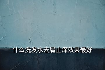 什么洗發(fā)水去屑止癢效果最好