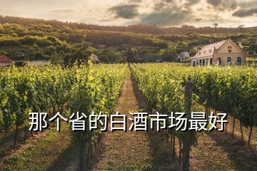 那個(gè)省的白酒市場(chǎng)最好