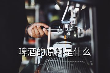 啤酒的原料是什么