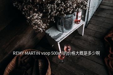 REMY MARTIN vsop 500ml的價(jià)格大概是多少啊