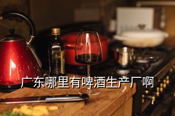 廣東哪里有啤酒生產(chǎn)廠啊