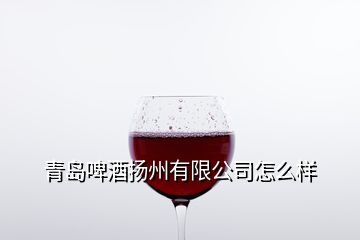 青島啤酒揚(yáng)州有限公司怎么樣