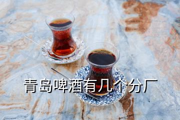 青島啤酒有幾個(gè)分廠(chǎng)