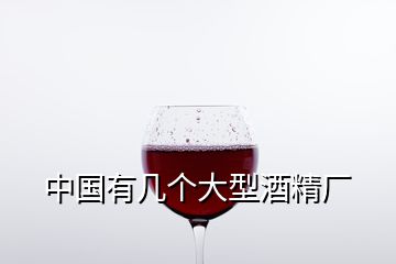 中國有幾個大型酒精廠