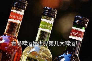 青島啤酒是世界第幾大啤酒廠