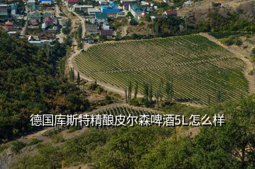 德國庫斯特精釀皮爾森啤酒5L怎么樣