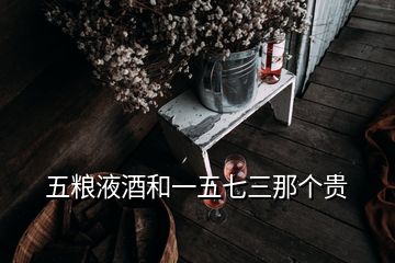 五糧液酒和一五七三那個貴