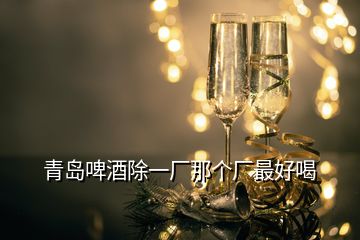 青島啤酒除一廠那個(gè)廠最好喝