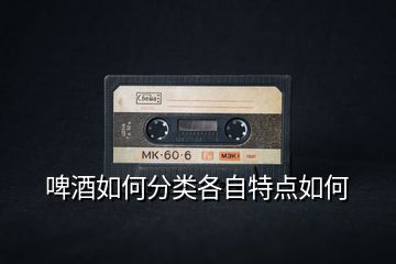 啤酒如何分類各自特點(diǎn)如何