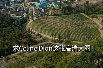 求Celine Dion這張高清大圖