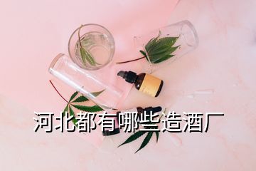 河北都有哪些造酒廠