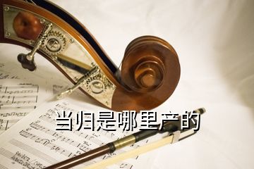 當(dāng)歸是哪里產(chǎn)的