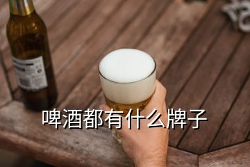 啤酒都有什么牌子