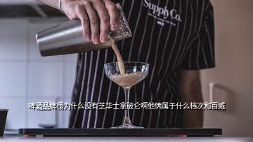 啤酒品牌榜為什么沒有芝華士拿破侖啊他倆屬于什么檔次和百威